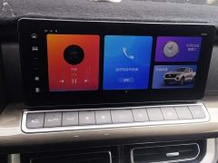 Mercedes-Benz Cannon 2.0T Commercial Auto Diesel 4WD Elite Long Bed GW4D20M - photo 13