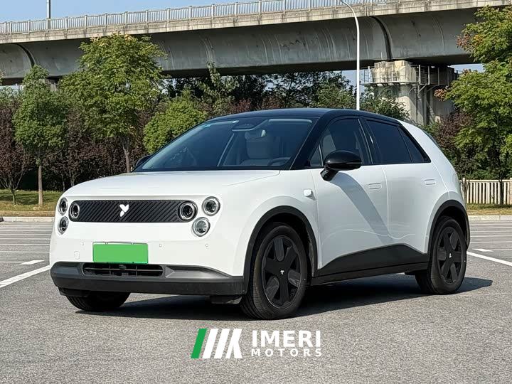 Nio Firefly Luminous Edition
