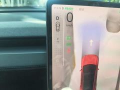 Tesla Model Y Rear-Wheel Drive - ფოტო 6