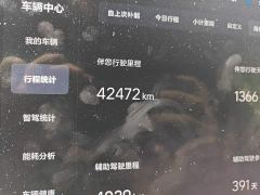 Li Auto L8 Pro - ფოტო 8