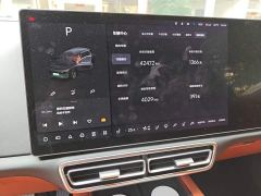 Li Auto L8 Pro - ფოტო 9