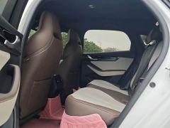 BYD Qin PLUS DM-i Smart Driving Edition 55KM Excellence - фото 5