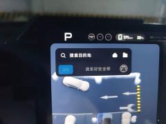 XPeng G7 702 Ultra Extended Range - photo 7