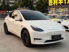 Tesla Model Y Rear-Wheel Drive - фото 1