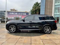 BMW X5 xDrive 30Li M Sport Exclusive Night Edition Package - photo 19