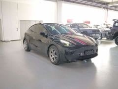 Tesla Model Y Rear-Wheel Drive - фото 3
