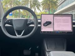 Tesla Model 3 Rear-Wheel Drive - ფოტო 11