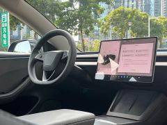 Tesla Model 3 Rear-Wheel Drive - ფოტო 12
