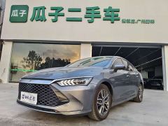 BYD Qin Plus DM-i 55KM Flagship - photo 1
