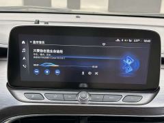 Buick GL8 Land Business Class 652T Luxury - фото 9