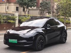 Tesla Model Y Standard Range RWD - photo 1
