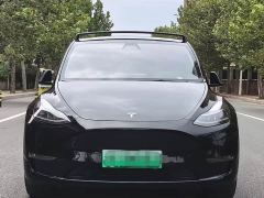 Tesla Model Y Standard Range RWD - photo 2