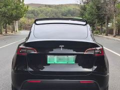 Tesla Model Y Standard Range RWD - photo 5