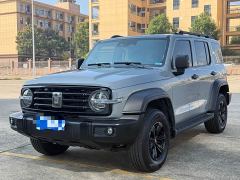 Tank 300 Off-Road Edition 2.0T Conqueror - ფოტო 1