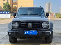 Tank 300 Off-Road Edition 2.0T Conqueror - ფოტო 2