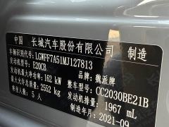 Tank 300 Off-Road Edition 2.0T Conqueror - ფოტო 9