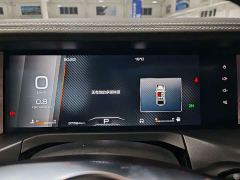 Tank 300 Off-Road Edition 2.0T Conqueror - ფოტო 12