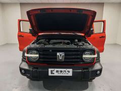 Tank 300 Off-Road Edition 2.0T Conqueror - ფოტო 13