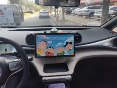 BYD Dolphin 420km Fashion Edition - photo 13