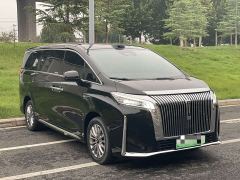 Great Wall WEY Shanshan New Energy Four-Wheel Drive Shanshan 8 - photo 2
