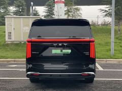 Great Wall WEY Shanshan New Energy Four-Wheel Drive Shanshan 8 - photo 3