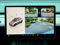 Tesla Model Y Rear-Wheel Drive - ფოტო 13