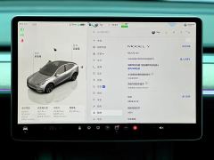 Tesla Model Y Rear-Wheel Drive - ფოტო 7