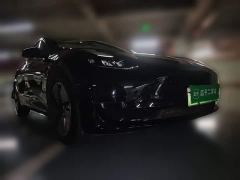 Tesla Model 3 Rear-Wheel Drive - ფოტო 3