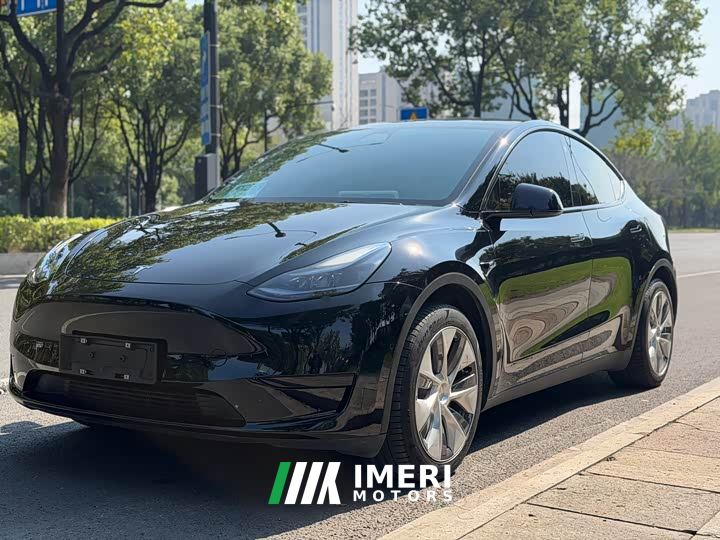 Tesla Model Y Rear-Wheel Drive - ავტომობილი ჩინეთიდან