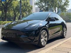 Tesla Model Y Rear-Wheel Drive - ფოტო 1