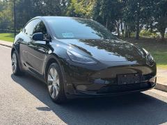 Tesla Model Y Rear-Wheel Drive - ფოტო 3