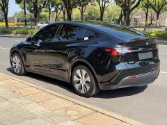 Tesla Model Y Rear-Wheel Drive - ფოტო 5
