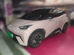 BYD Seagull 305km Freedom Edition - ფოტო 1