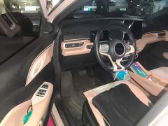 BYD Seagull 305km Freedom Edition - ფოტო 12