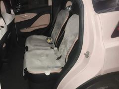BYD Seagull 305km Freedom Edition - ფოტო 13