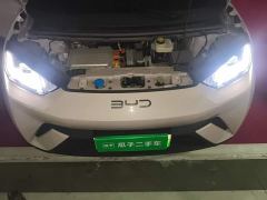 BYD Seagull 305km Freedom Edition - ფოტო 16
