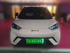 BYD Seagull 305km Freedom Edition - ფოტო 2