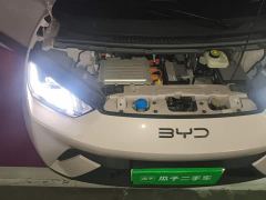 BYD Seagull 305km Freedom Edition - ფოტო 20