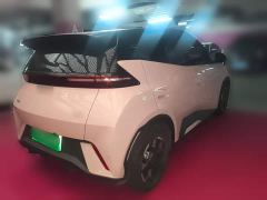 BYD Seagull 305km Freedom Edition - ფოტო 4