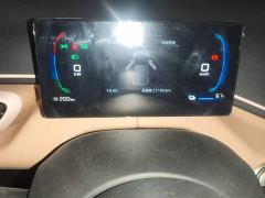BYD Seagull 305km Freedom Edition - ფოტო 8