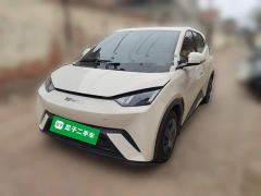 BYD Seagull Vitality Edition - ფოტო 1
