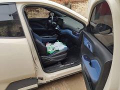 BYD Seagull Vitality Edition - ფოტო 17