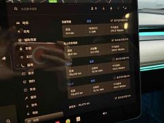 Tesla Model 3 Rear-Wheel Drive - ფოტო 10