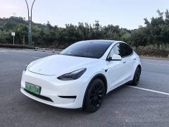 Tesla Model Y Rear-Wheel Drive - ფოტო 1