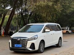 Buick GL8 Land Executive Cabin 652T Luxury - ფოტო 1