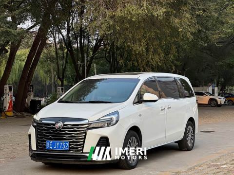 2023 Buick GL8 Land Executive Cabin 652T Luxury - автомобиль из Китая