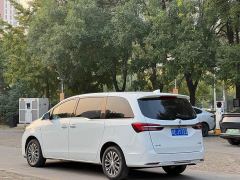 Buick GL8 Land Executive Cabin 652T Luxury - ფოტო 8