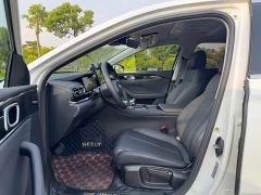 Geely Emgrand 5th Generation 1.5L CVT Luxury - ფოტო 9