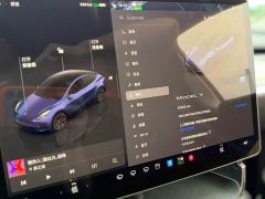 Tesla Model Y Rear-Wheel Drive - ფოტო 12