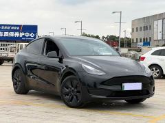 Tesla Model Y Rear-Wheel Drive - ფოტო 2